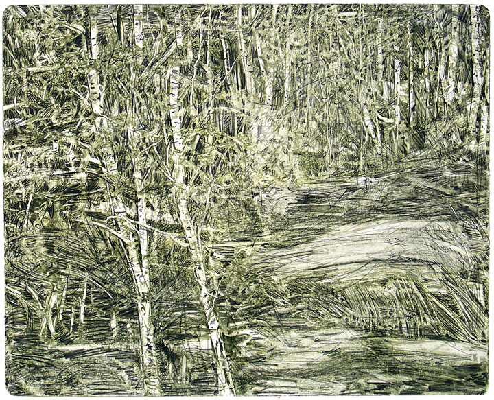 dense-forest-cropped-14x18